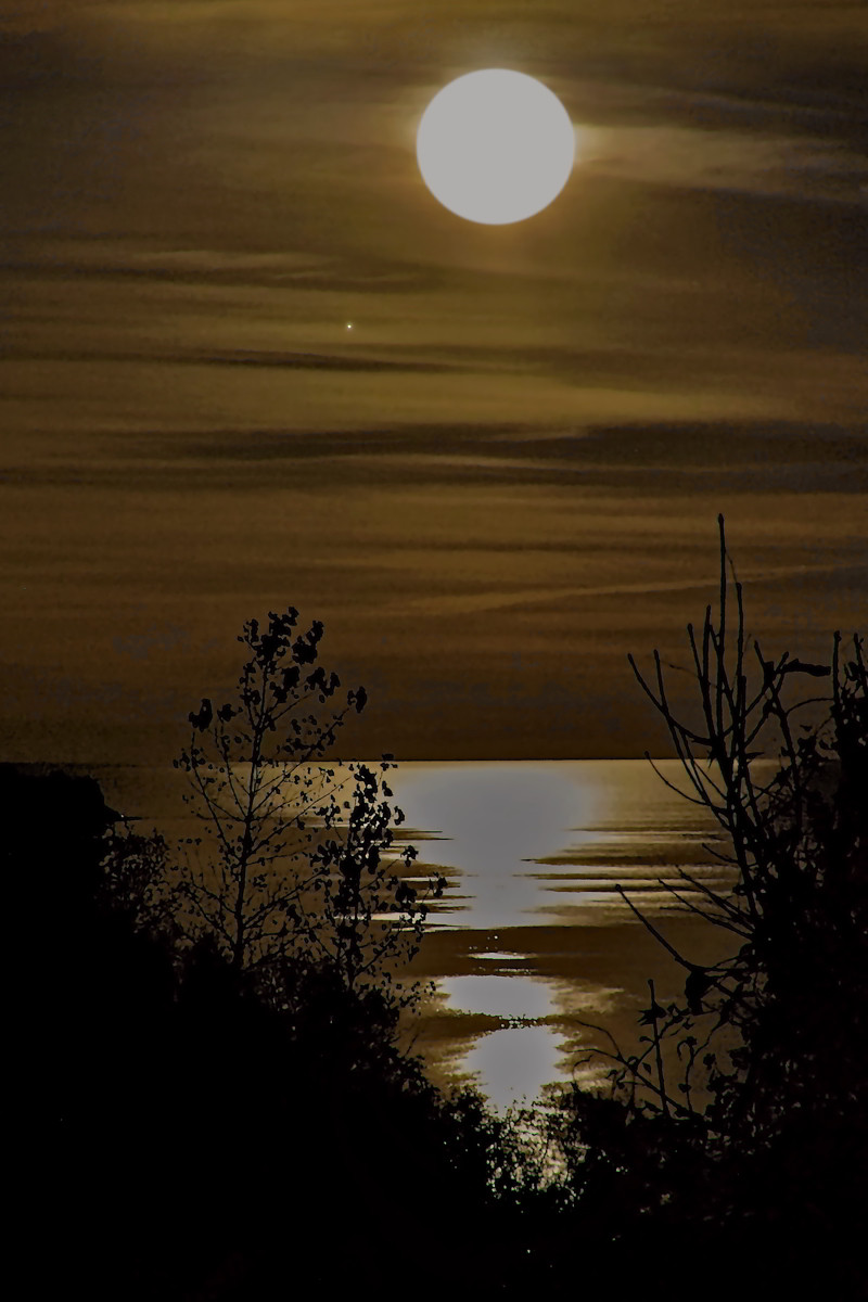 Moon by the Lake- 03